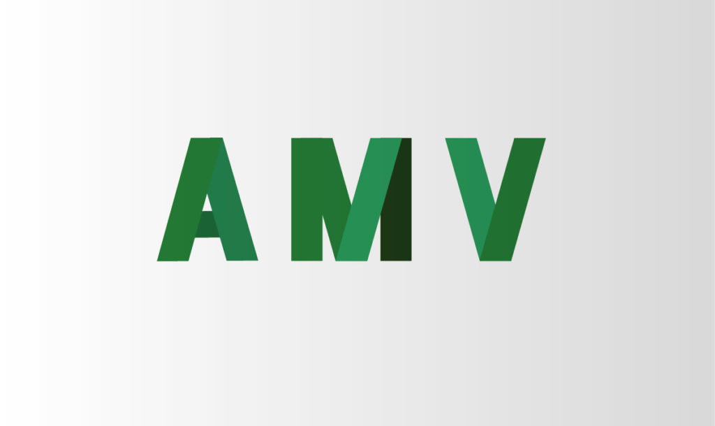 Avis sur AMV Assurance [ce qu’il FAUT SAVOIR avant de souscrire]